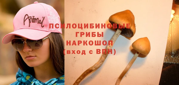 прущая мука Абдулино